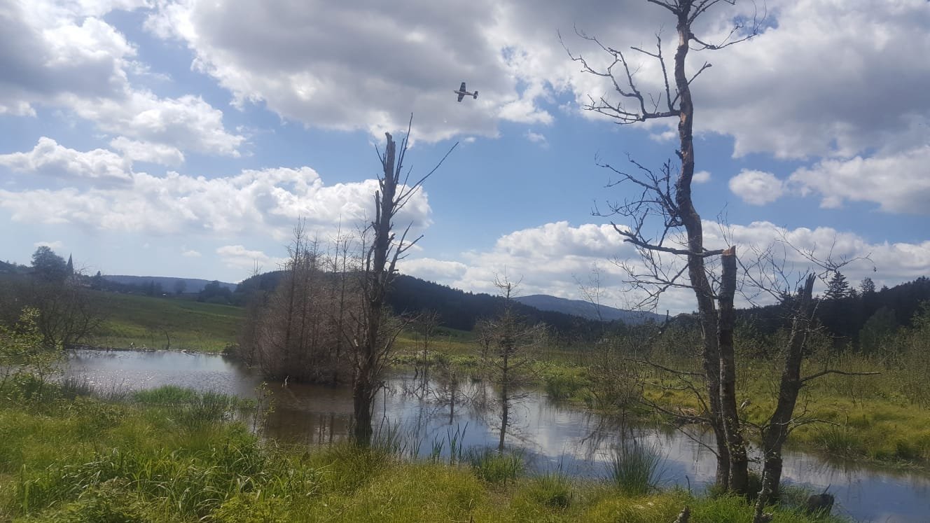 Biberreservat und Natur am Flugplatz Zell